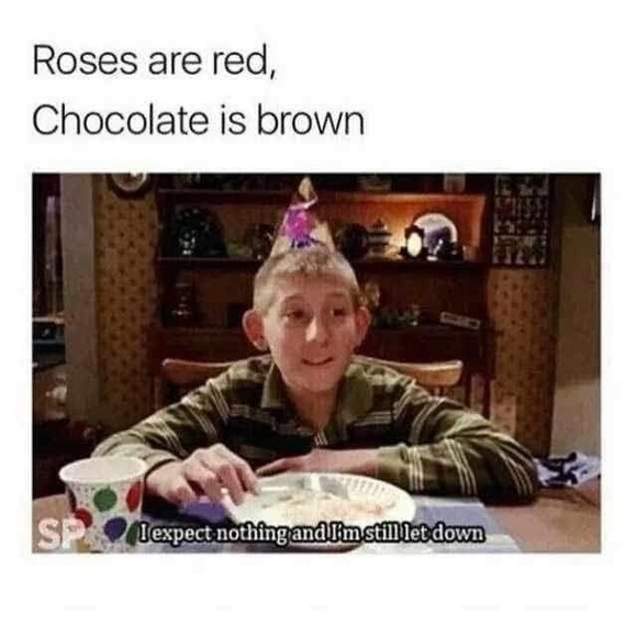 Meet your Posher, Shannon - Picture 6 of 6